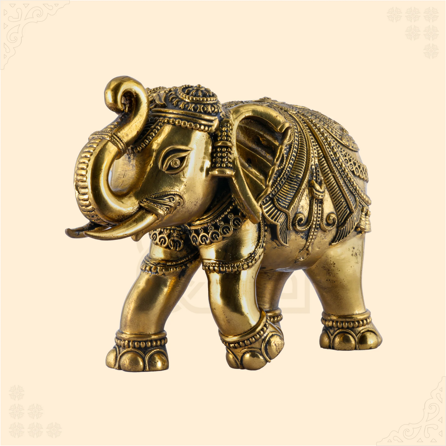 Single Elephant
