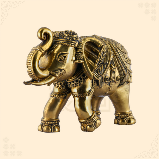 Single Elephant