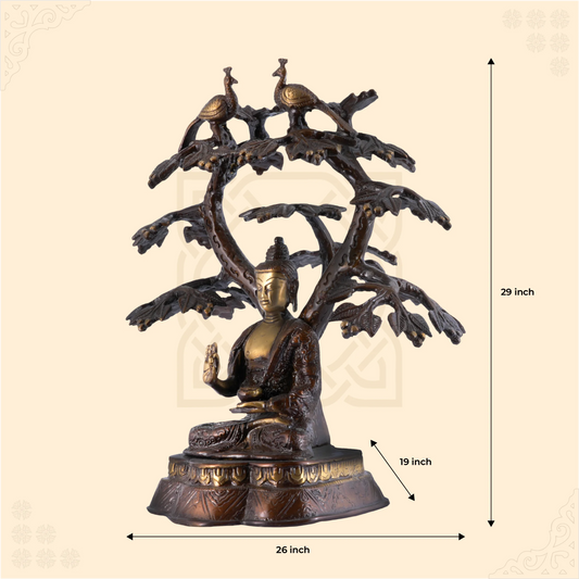 Peacock Canopy Buddha