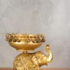 Elephant Urli