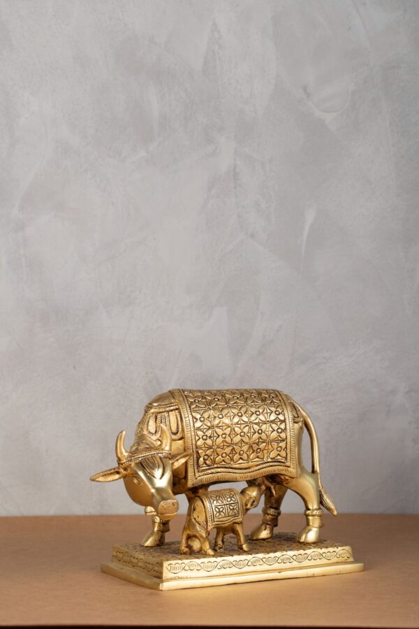 Cow and Calf