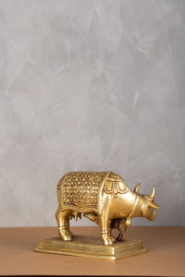 Cow and Calf