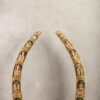 Stone Tusk - Ganesha