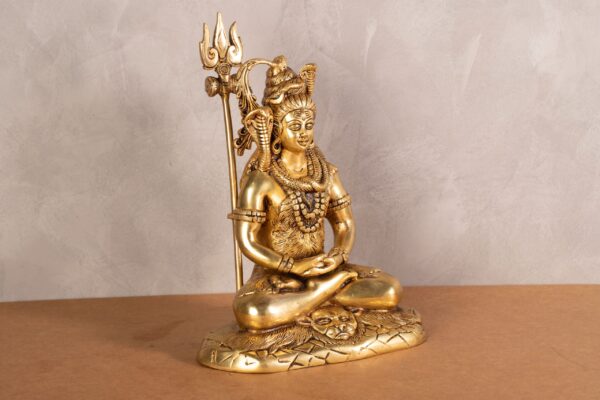 Shiva's Meditation Statue