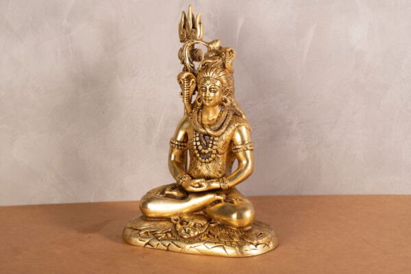 Shiva's Meditation Statue